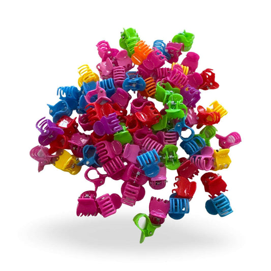 Clame de par multicolor 29-1(10 pungi/set) engross